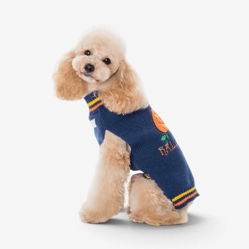 CozyGourd - Cozy Pumpkin Dog Sweater For Halloween