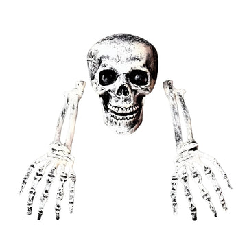 BoneChill Halloween Skeleton & Skull Decor – Real Creepy Atmosphere for Party & Haunted House