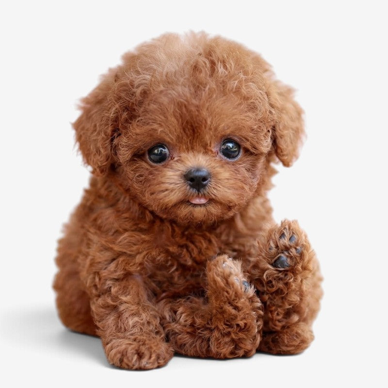 PuppyMotion – Interaktív robotkutya érintésérzékeléssel