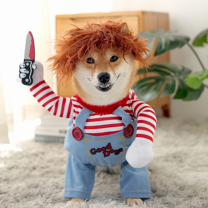 Pawfect Play – Funny Puppy Costume