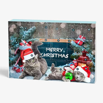 Furrymas - Adventi naptár háziállatoknak 24 játékkal