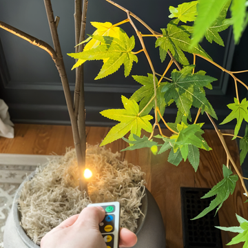 LumiFocus- Remote Controlled LED Spotlights