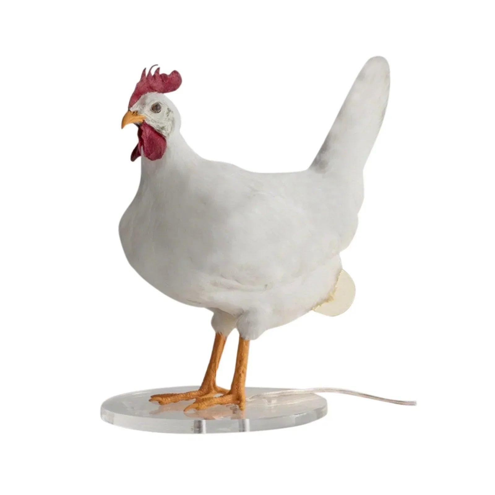 ChickGlow - Whimsical Animal Design with Cozy Warm Glow | Fun Statement Decor with Durable Build | Perfect Gift for Kids, Animal Lovers or Quirky Homes