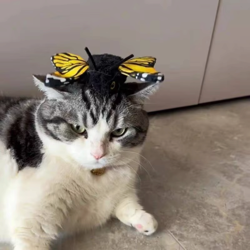 PurrFlutter - Automatikus Rezgő Pillangó Macskajáték Mozgásérzékelővel