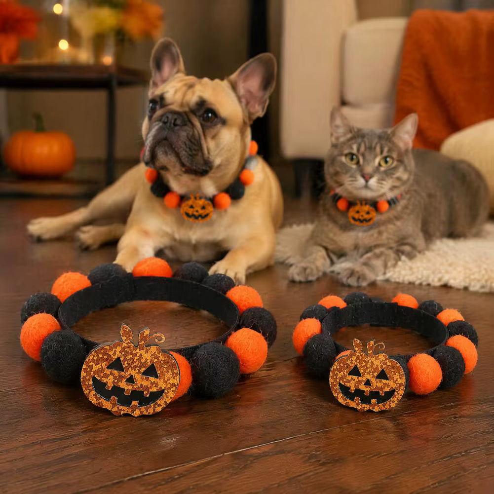 Festive Halloween Pet Collar with Pumpkin and Skull Designs
