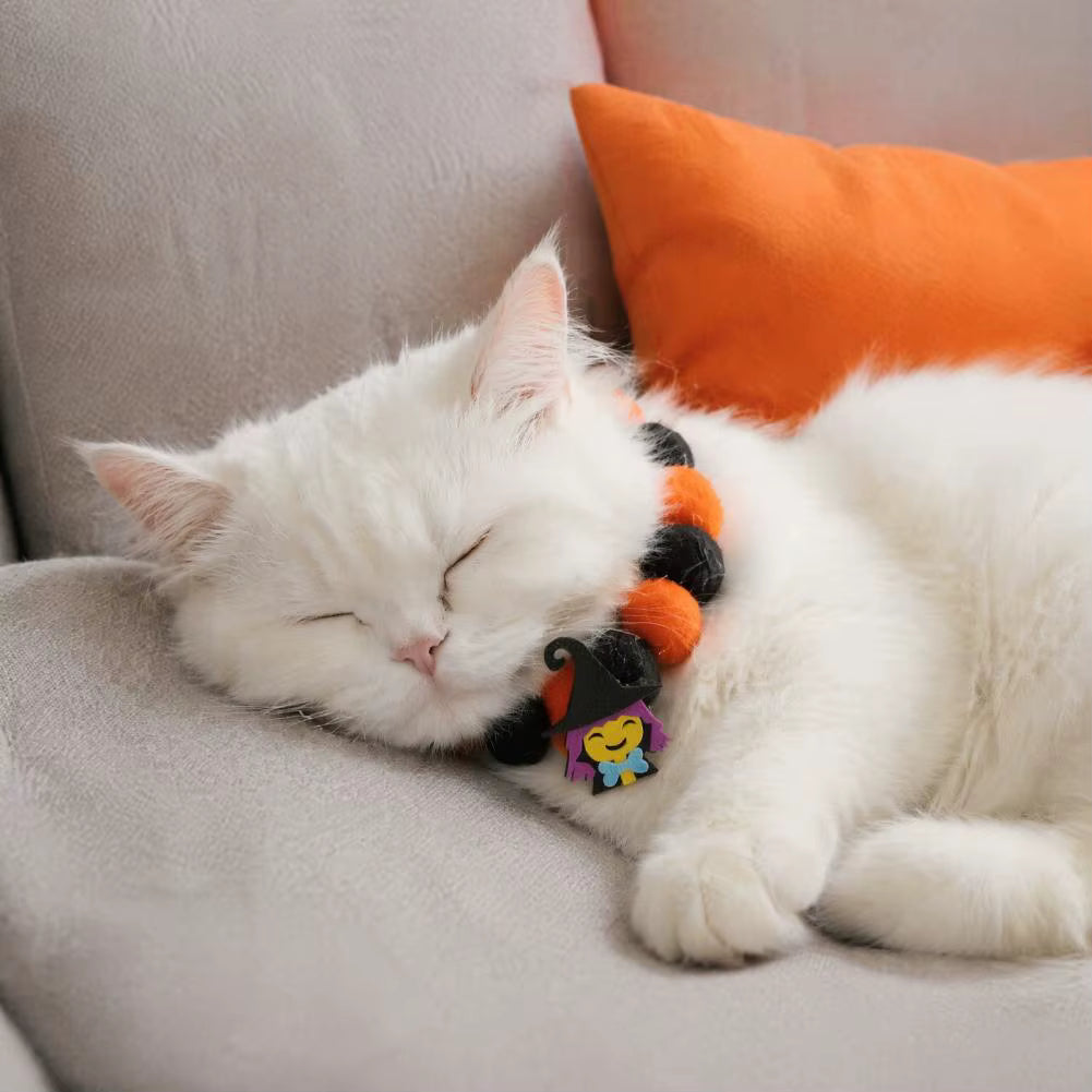 Festive Halloween Pet Collar with Pumpkin and Skull Designs