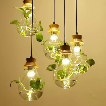 BotanicaGlow – Floating Plant Glass Bulb with Natural Wood Accents | Soft Warm LED Glow for Cozy Ambience | Statement Lighting for Dining, Cafe or Workspace