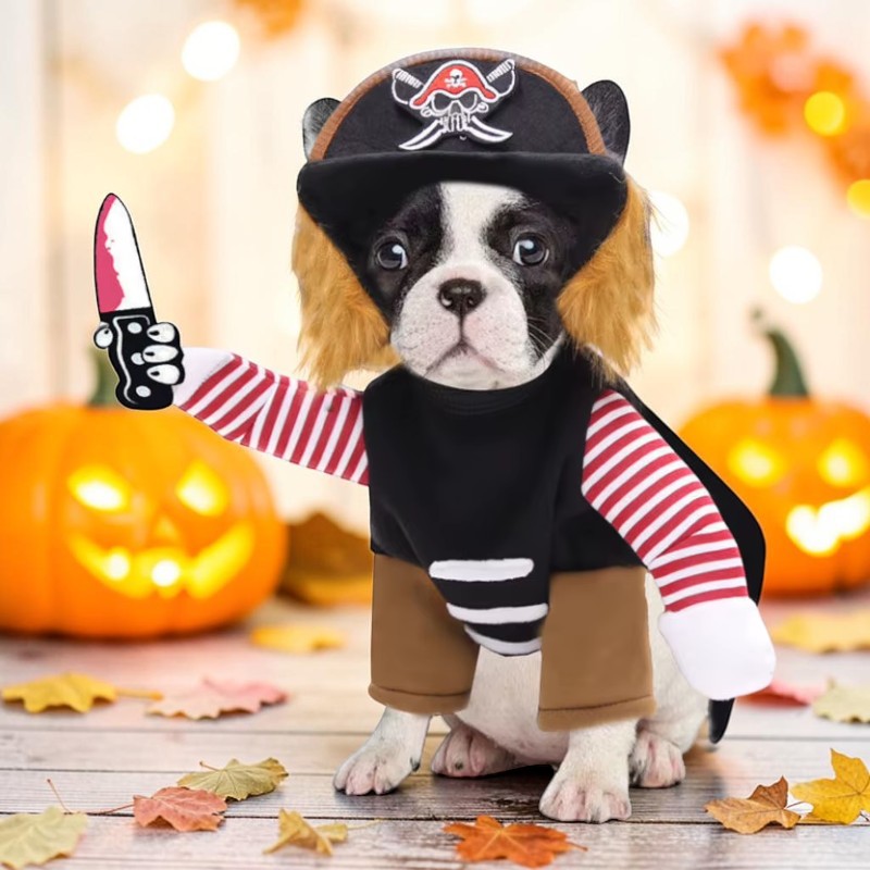 PawPirate - Kalózjelmez kutyáknak vidám Halloweenre