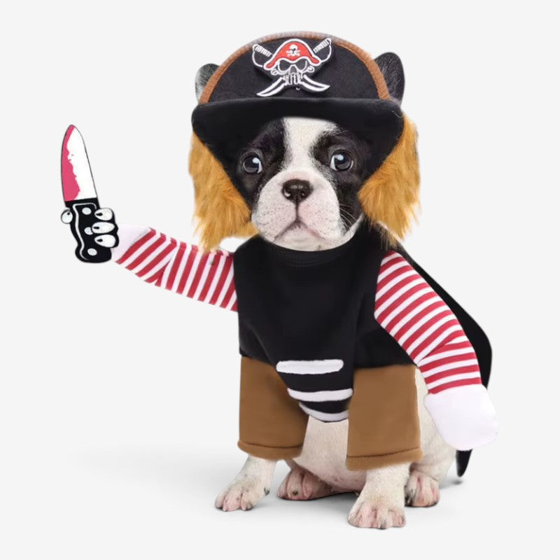 PawPirate - Kalózjelmez kutyáknak vidám Halloweenre