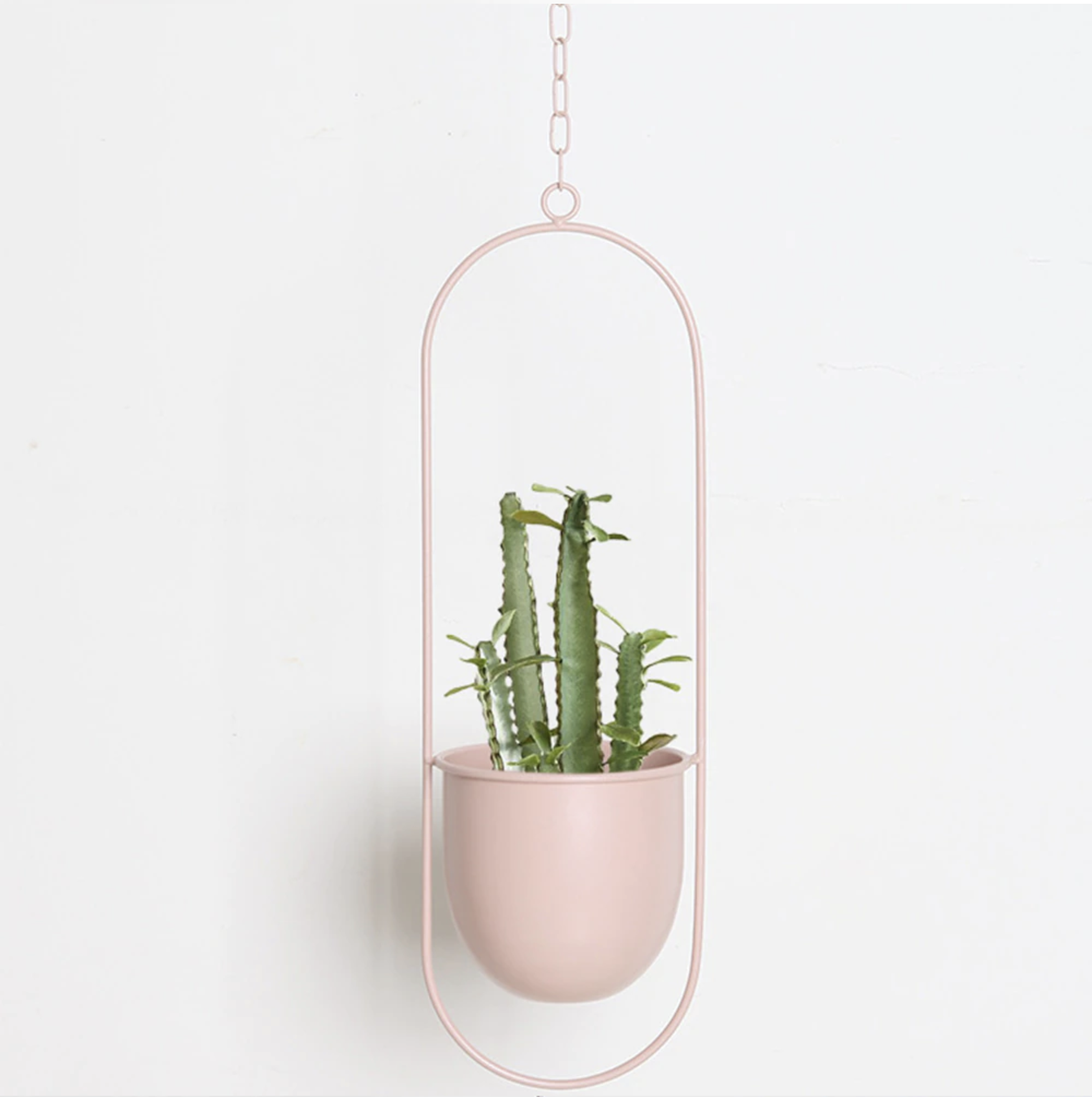 FloraFrame LED Botanical Wall Art