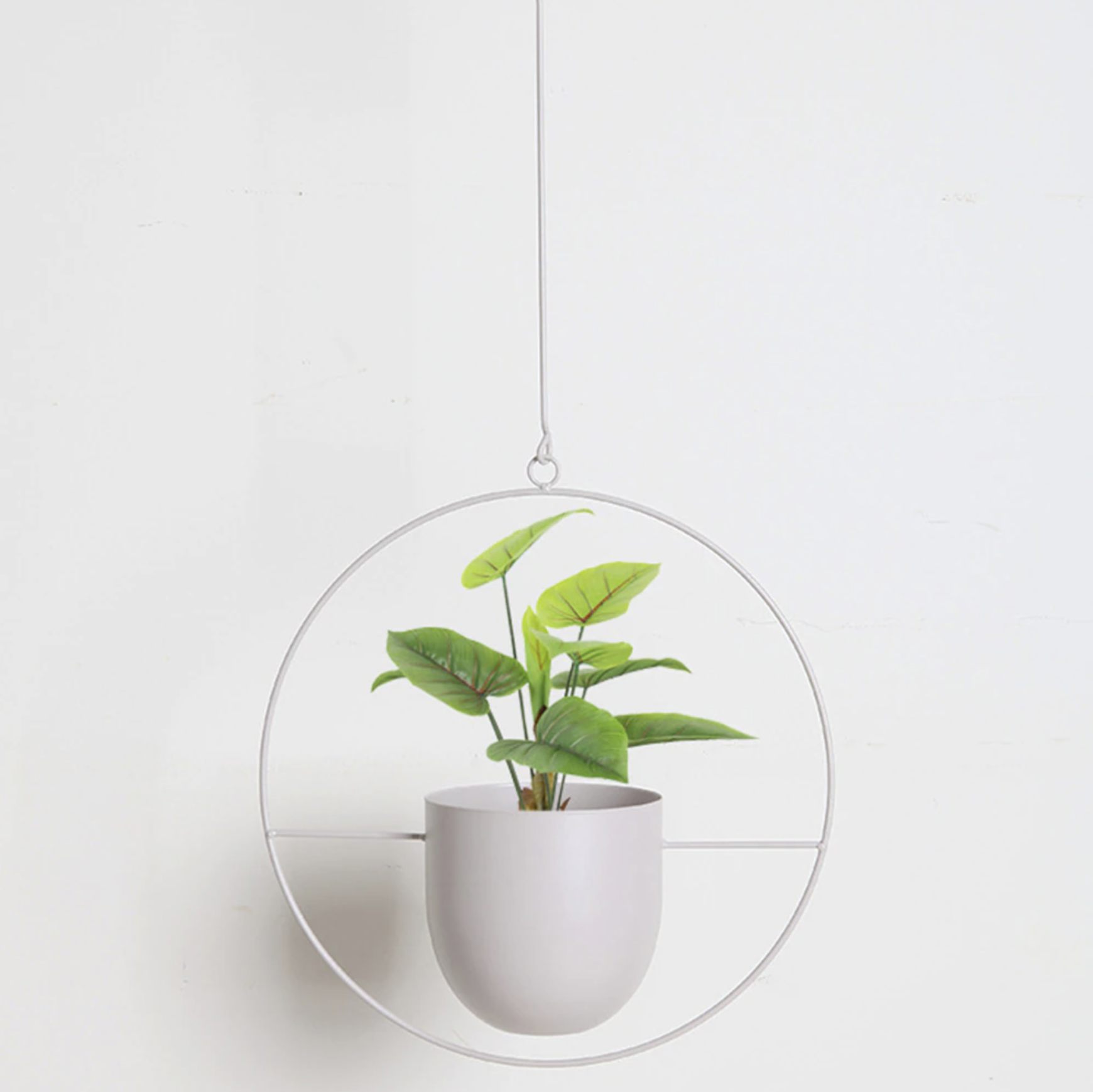 FloraFrame LED Botanical Wall Art