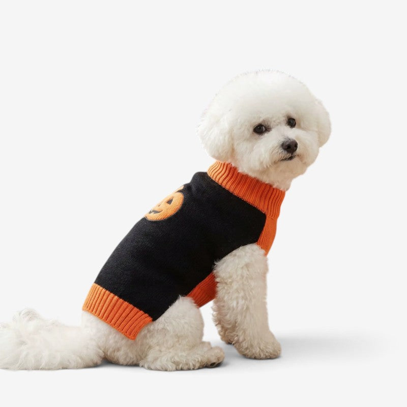 CozyGourd - Cozy Pumpkin Dog Sweater For Halloween