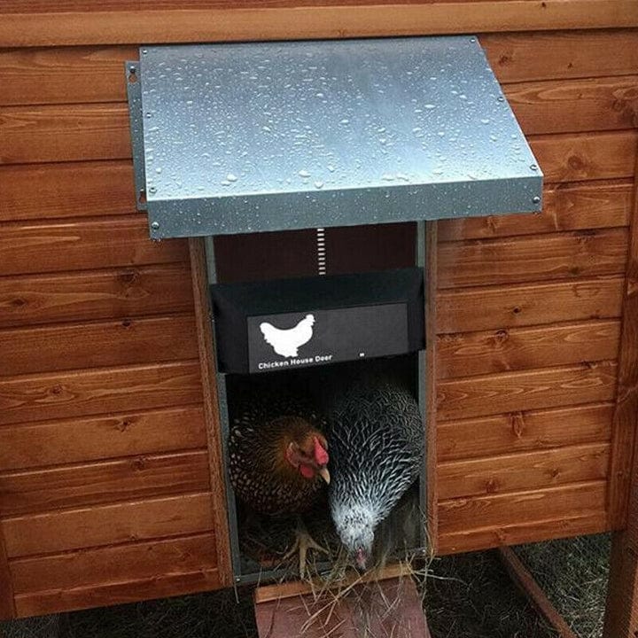 CluckSecure Automatic Chicken Coop Door – Safe and Convenient Access for Poultry Protection