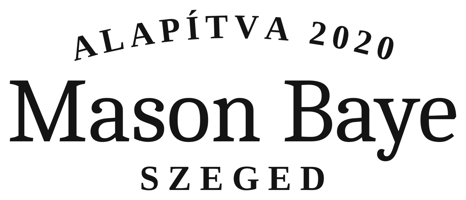 Mason Baye