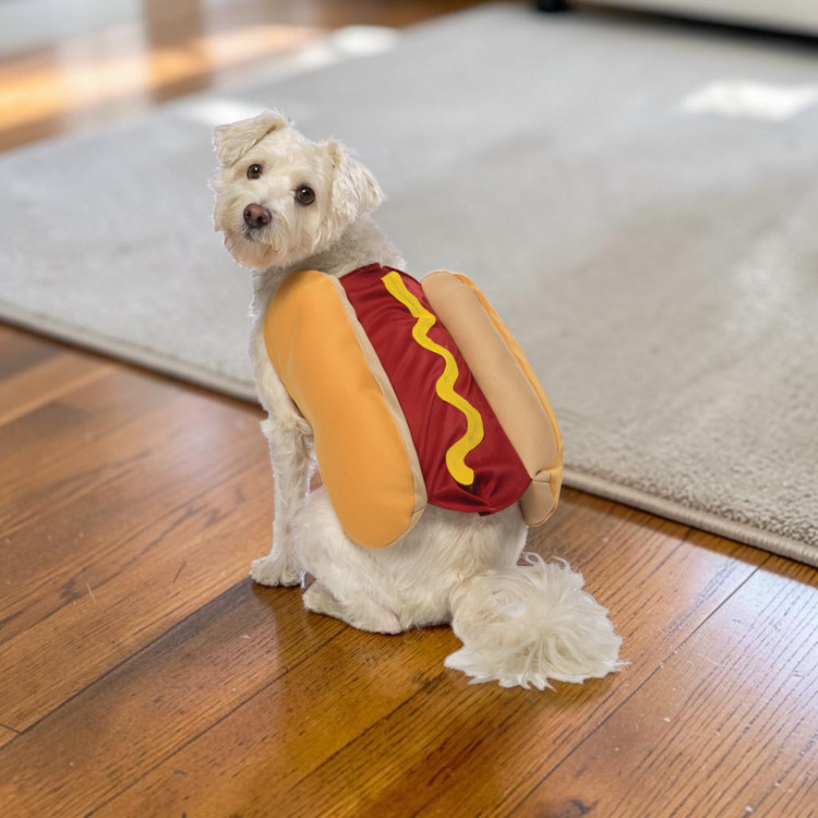 BunBuddy - Playful Hot Dog Costume for Dogs