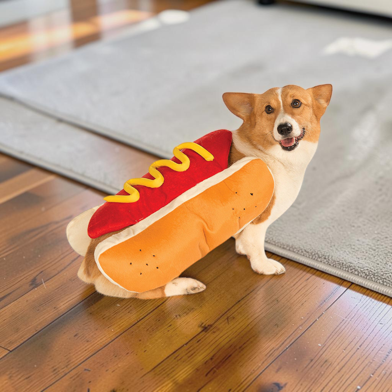 BunBuddy - Playful Hot Dog Costume for Dogs