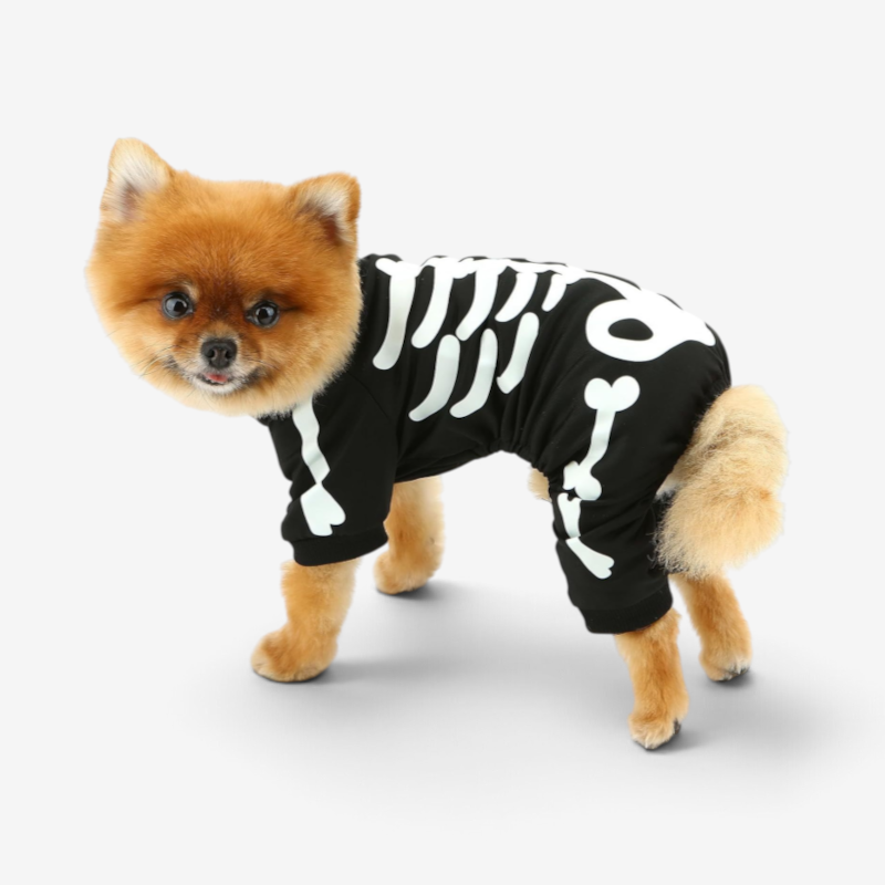 GlowPup - Glow in the Dark Skeleton Dog Jumpsuit