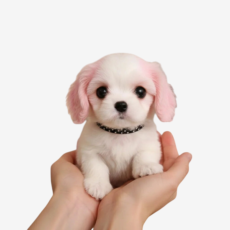 TouchPup - Interaktív plüss kutya érintésre aktiválódó mozgással és ugatással