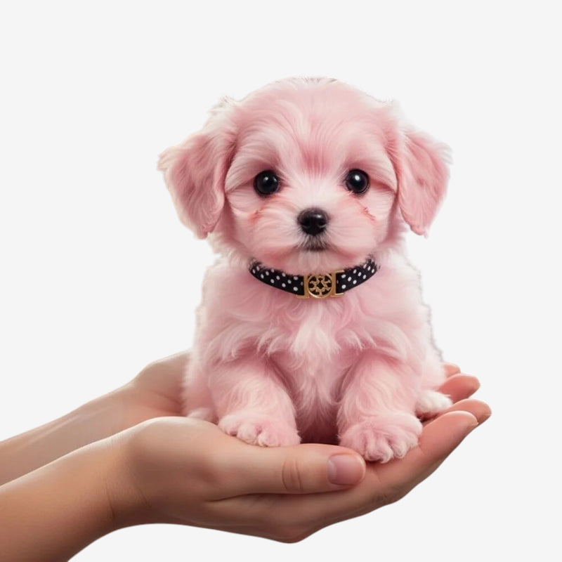 TouchPup - Interaktív plüss kutya érintésre aktiválódó mozgással és ugatással