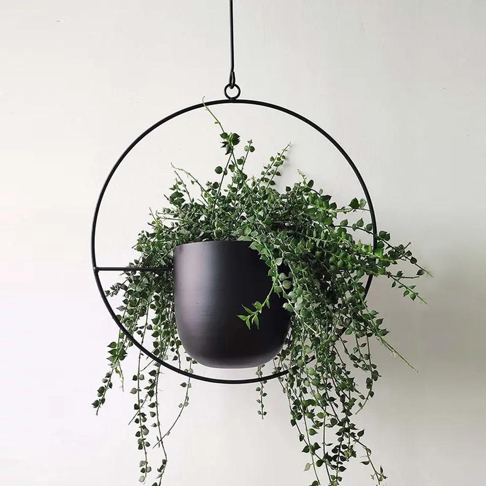 FloraFrame LED Botanical Wall Art