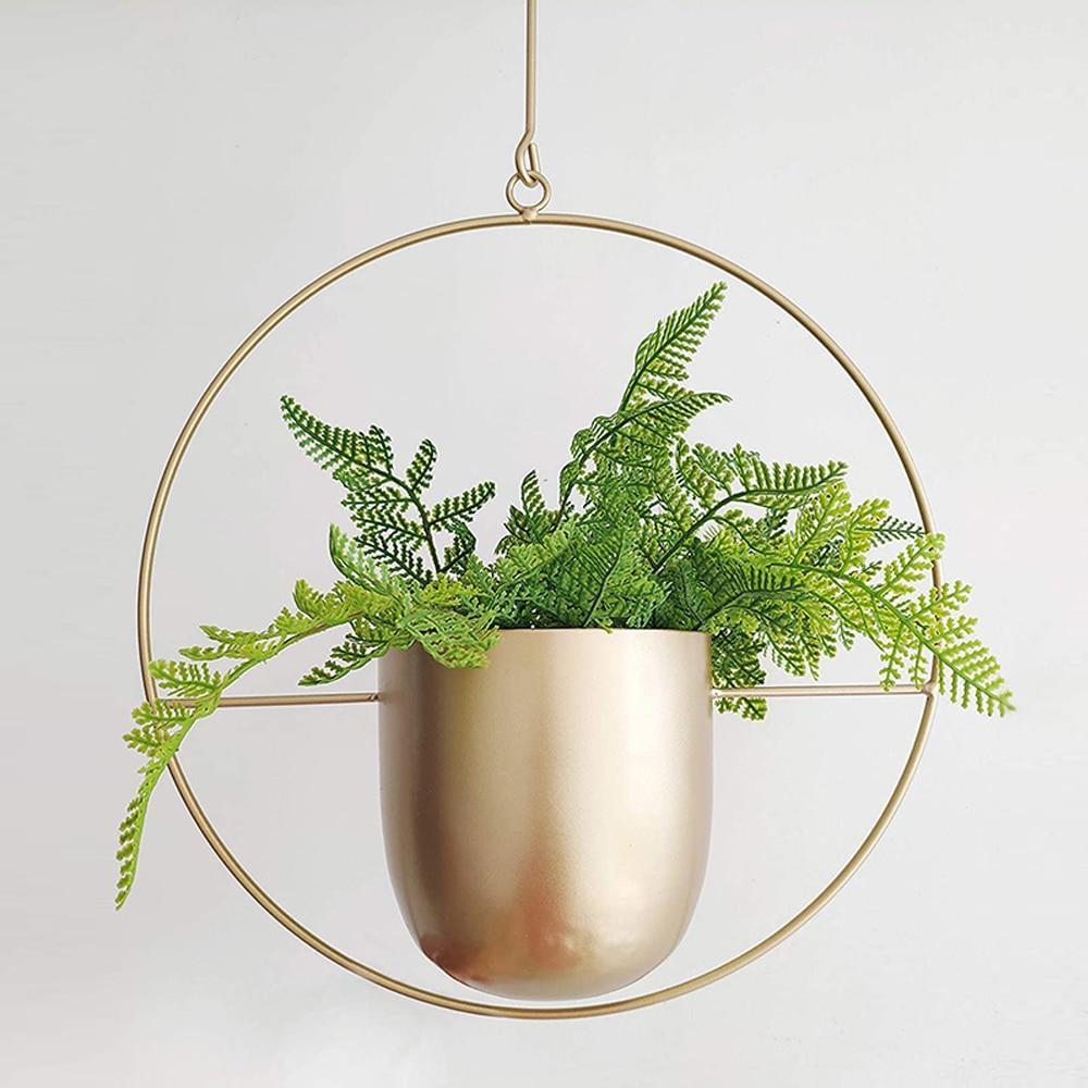FloraFrame LED Botanical Wall Art