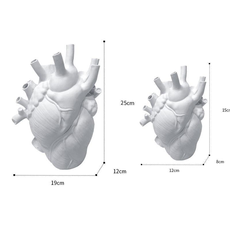 ArteVita - Creative Anatomical Heart Vase Decor